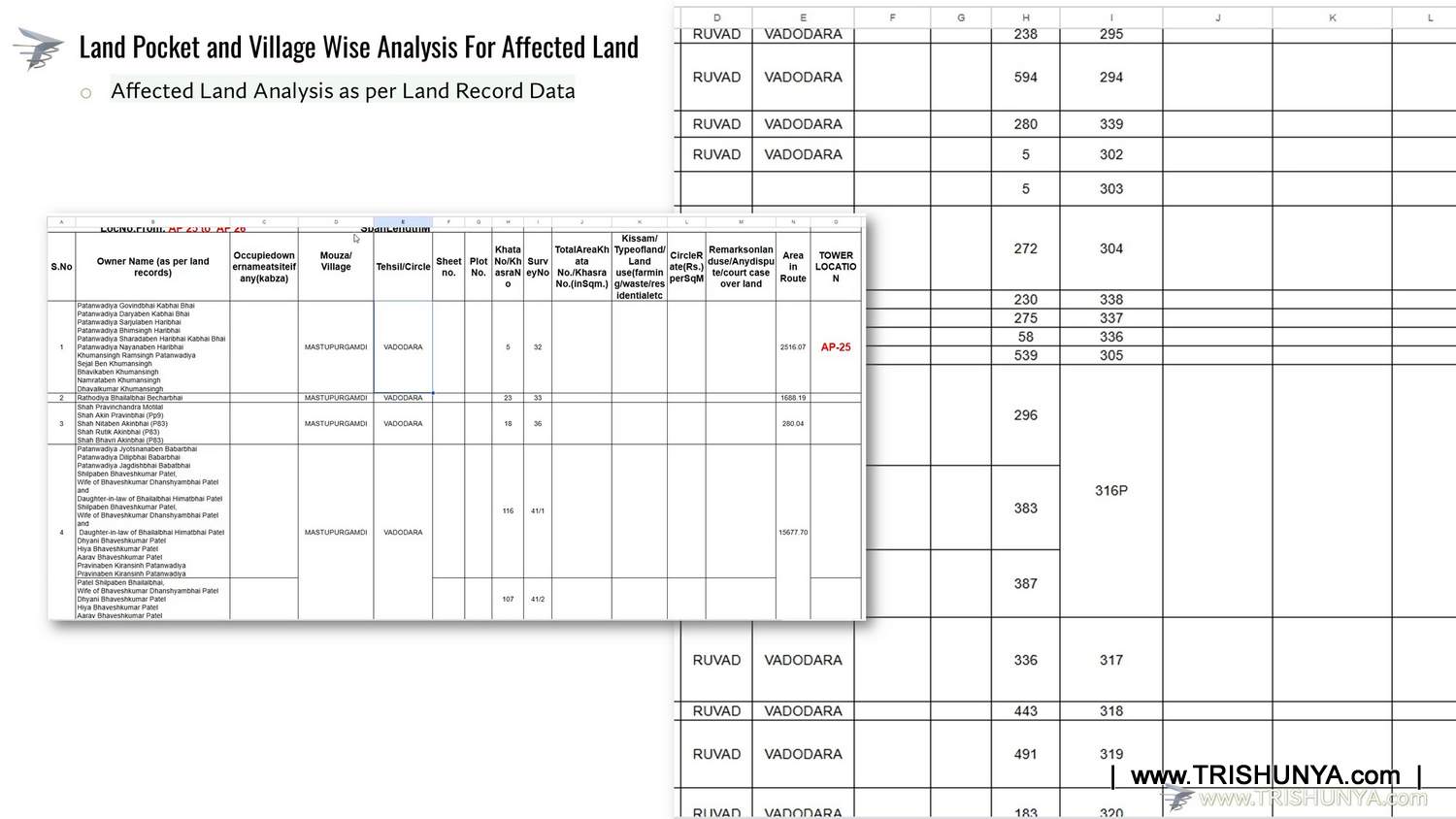 Power Transmission Line Survey — Project Photo 1